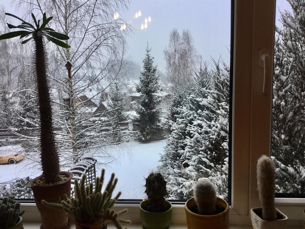 Sadyba Anastasia Slavske Dış mekan fotoğraf